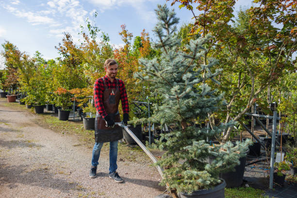 Best Tree Care Services  in Blue Grass, IA